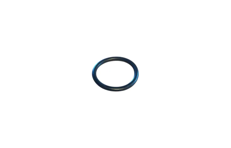 O-ring