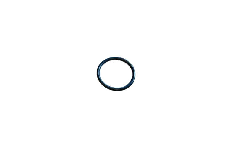 O-ring
