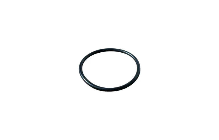 O-ring